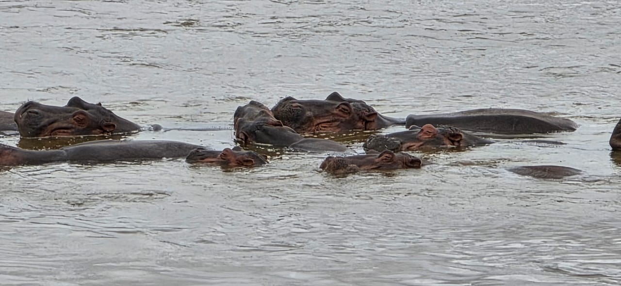 Lake Naivasha