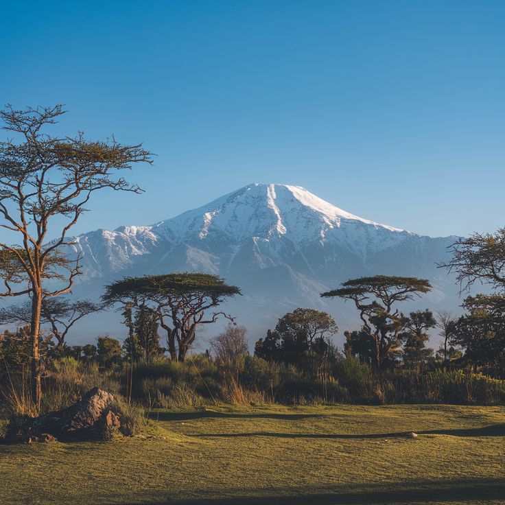Mt. Kenya N.P.