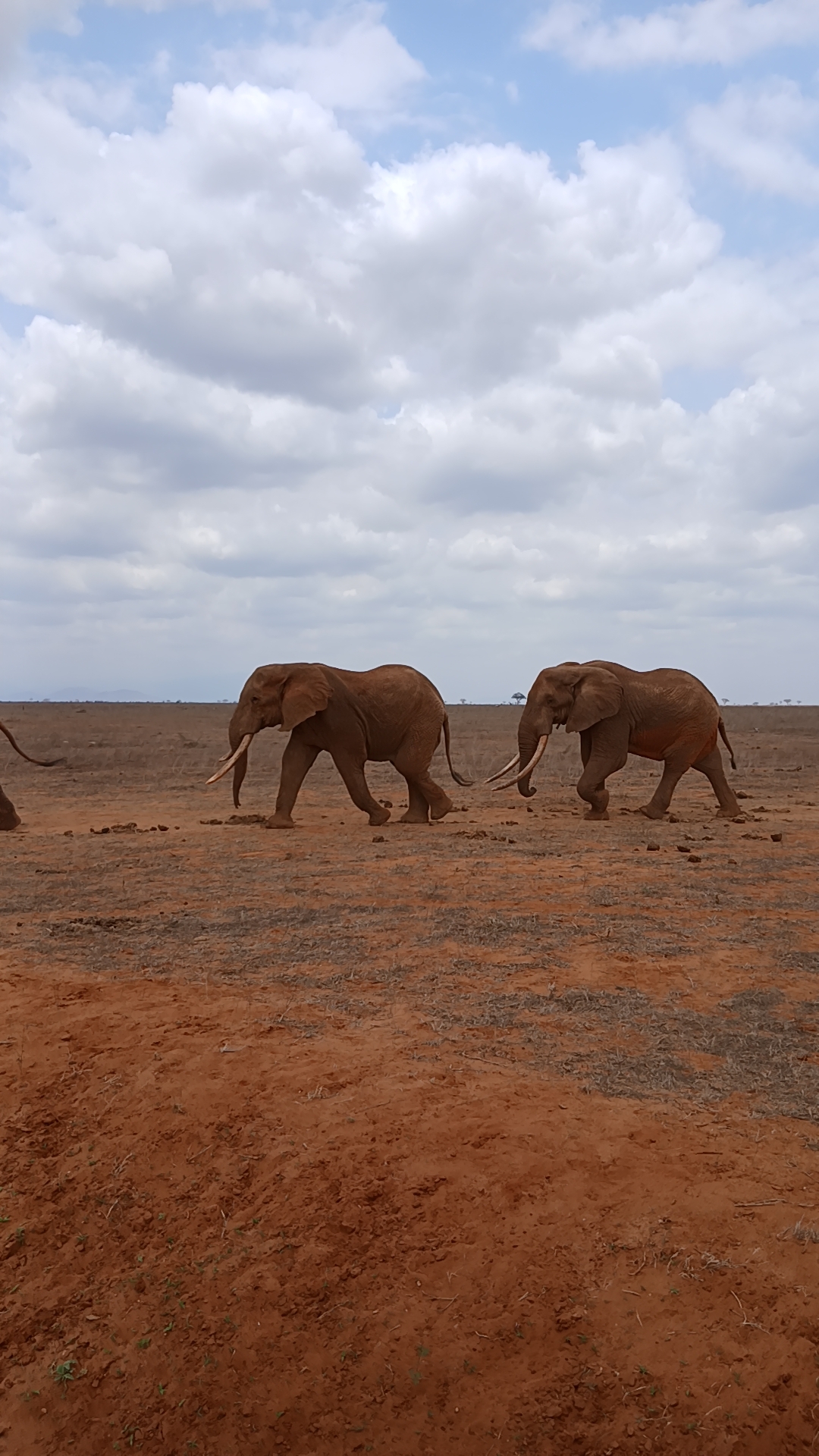 Tsavo West