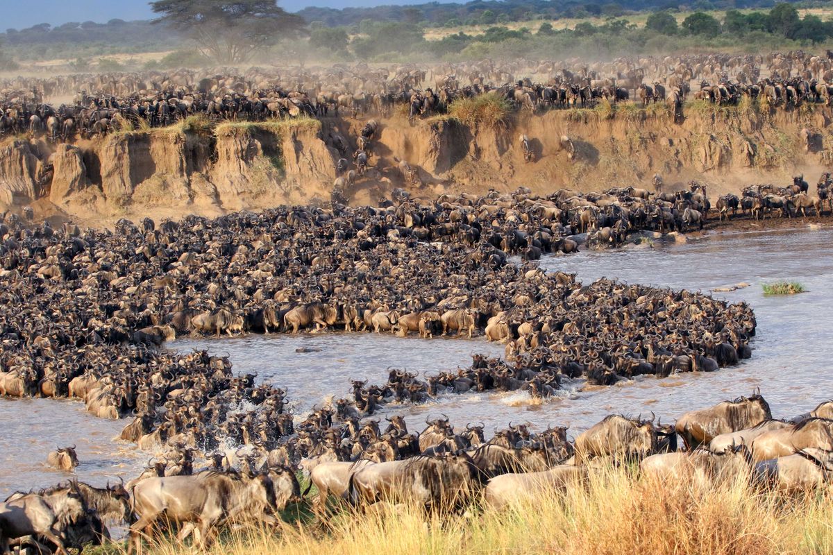 Kenya safari itinerary planning